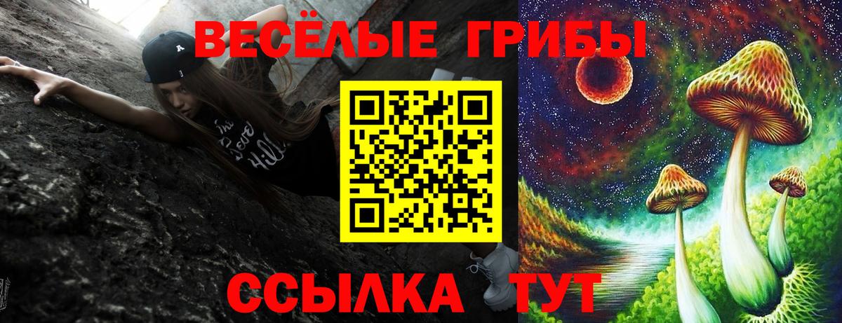 Галлюциногенные грибы ЛСД Ревда